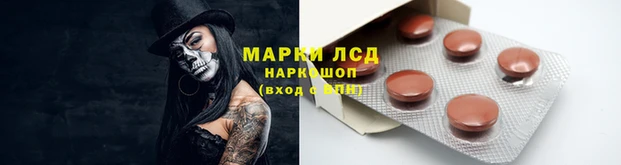 apvp Баксан