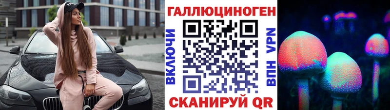 хочу   дарк нет Telegram  Галлюциногенные грибы Psilocybine cubensis  Краснообск 
